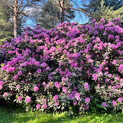 23-06-03 17-22-46 5824